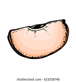 Quarter of the apple