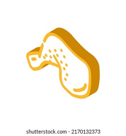 quarter back isometric icon vector. quarter back sign. isolated symbol illustration