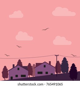 quarter, evening, dusk, west, street, residential streets, houses, birds, sky, flock of birds above the street, street in the background of the sunset