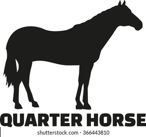 Quarter Horse