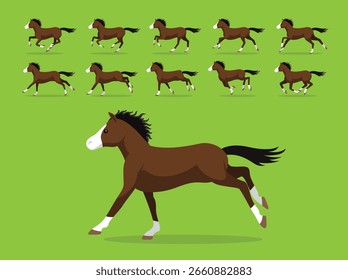 Quarter Horse Animation Sequence Running Cartoon Vector Illustration