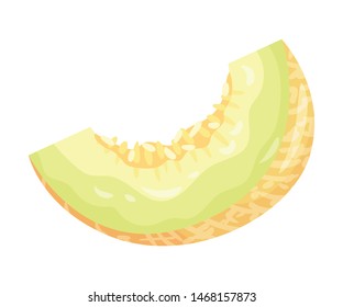 Quarter melon. Vector illustration on white background.