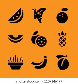 quarter, pineapple, celebration and design icon set. Vector illustration for web and design.