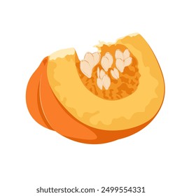 Quarter pumpkin with seeds, rear view isolated on white background. Hand drawn simple flat vector pumpkin.