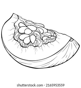 Calabaza de cuarto. Ilustraciones vectoriales en forma de dibujo a mano estilo doodle. Platos botánicos de arte de línea aislados en blanco. Cierra las verduras de calabaza en trozos. Elemento para colorear libro, diseño, impresión.