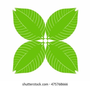 quatrefoil, plant, sheet