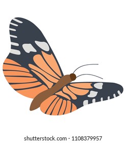 
Queen Alexandra Birdwing Butterfly flat vector icon 
