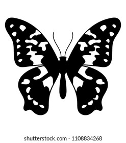 
Queen Alexandra Birdwing Butterfly solid vector icon 
