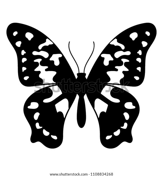 Queen Alexandra Birdwing Butterfly Solid Vector Stock Vector (Royalty ...