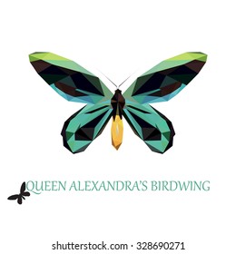 Queen Alexandra's Birdwing Low Poly