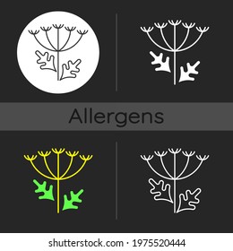 Queen Annes lace dark theme icon. Blooming wildflower. Wild carrot flower. Pollen allergen. Allergy for plant. Linear white, simple glyph and RGB color styles. Isolated vector illustrations