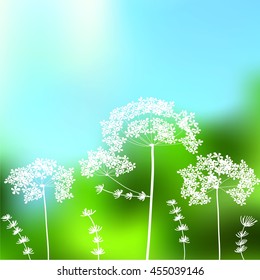 Queen Anne's lace vector on blurred dreamy background 