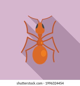 Icono de la hormiga reina. Ilustración plana del icono del vector de hormigas reina para el diseño web