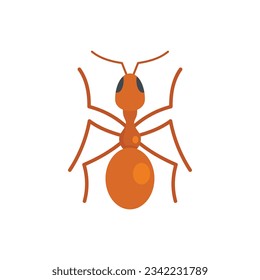 Queen ant icon. Flat illustration of Queen ant vector icon for web design isolated