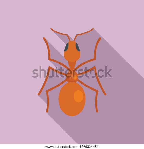 Queen ant icon. Flat illustration of Queen ant\
vector icon for web\
design