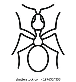 Queen ant icon. Outline Queen ant vector icon for web design isolated on white background