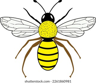 Queen Bee Black, white, and amarillo, Queen Bee Clipart. ilustración vectorial