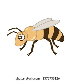 Queen Bee  cute illustration