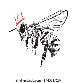 queen bee queen graphic design illustration, icon, fly, art tattoo sketch, vintage, use in print, draw