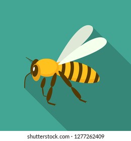 Queen bee icon. Flat illustration of queen bee vector icon for web design