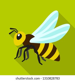 Queen bee icon. Flat illustration of queen bee vector icon for web design
