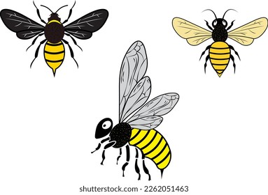 Reina Bee. ilustración vectorial
