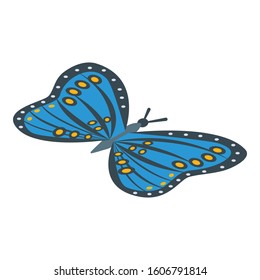 Queen blue butterfly icon. Isometric of queen blue butterfly vector icon for web design isolated on white background