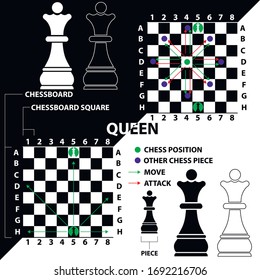 Queen. Chess piece made in the form of illustrations and icons. Black and white queen with a description of the position on the chessboard and moves. Educational material for beginner chess players.