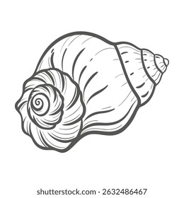Ilustração da arte da linha de concha da rainha