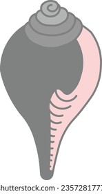 Queen Conch conch shell conch shell sea