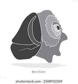 Queen conch snail, animal, unique snail, icon,Anatomy.
