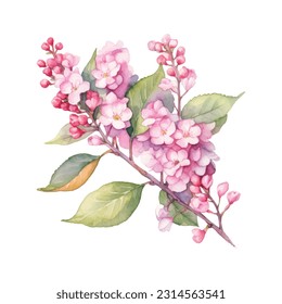 Queen Crape Myrtle watercolor illustration. Hand drawn underwater element design. Artistic vector marine design element. Illustration for greeting cards, printing and other design projects.