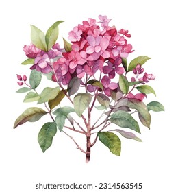 Queen Crape Myrtle watercolor illustration. Hand drawn underwater element design. Artistic vector marine design element. Illustration for greeting cards, printing and other design projects. svg