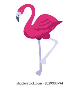 Queen flamingo icon isometric vector. Zoo bird. Summer flamingo