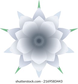 Unseen Beauty Revealed: The Queen of the Night Flower That Shatters Every Expectation