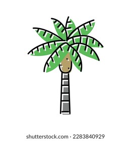 queen palm tree color icon vector. queen palm tree sign. isolated symbol illustration