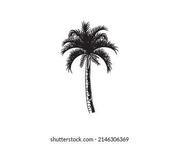 queen palm tree vector silhouette with hand drawing style.