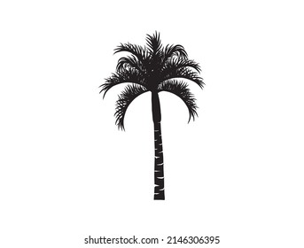 queen palm tree vector silhouette with hand drawing style.