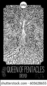 Queen of pentacles. Dryad. Minor Arcana Tarot card. Fantasy line art illustration. Engraved vector drawing. See all collection in my portfolio set