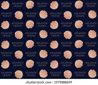 Queen scallop with Atlantic ocean decorative text pattern. Nautical background decoration.