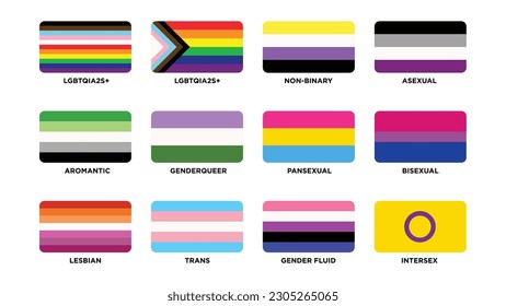 Banderas queer - Rectángulo redondo - Banderas del Orgullo LGBTQ+ Derechos LGBTQ+ Género aromático no binario género pansexual bisexual lesbiana trans género fluido intersexo