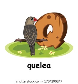 Quelea Bird Cartoon 3D Wood Alphabet Animals Letter Q