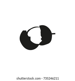 Quenepa fruit icon, vector illustration.