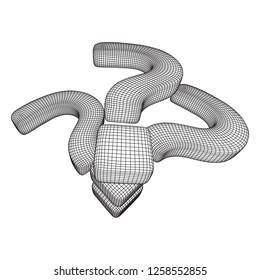 Question mark abstract model line and composition digitally drawn. Wireframe low poly mesh vector illustration