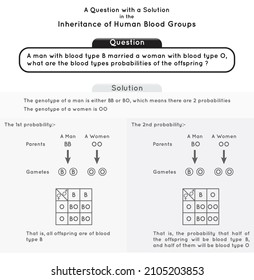 Question And Solution Inheritance Of Human Blood Group Infographic Diagram Genotype Phenotype Man Women Probabilities Gamete Offspring Blood Type Heredity Genetic Science Education Gene Biology Vector