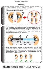 Question and Solution on Heredity Infographic diagram probability of black eye man when married blue eye women to have four child blue color eyed gamete genetic science education gene biology vector