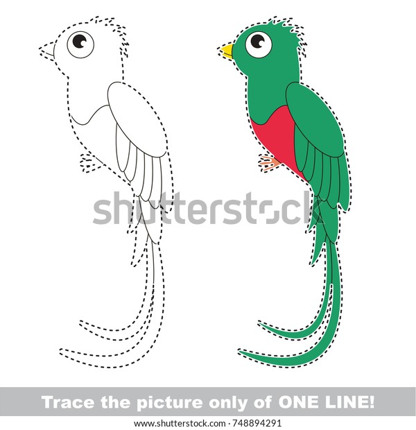 Vector De Stock Libre De Regalias Sobre Quetzal Be Traced Only