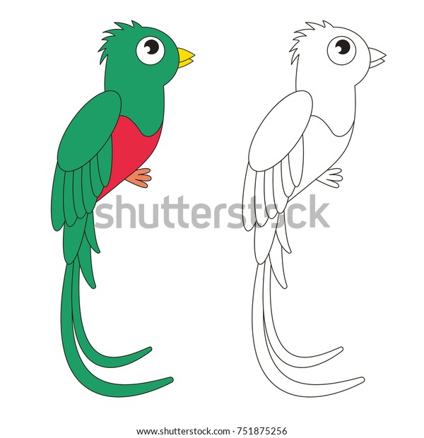 Quetzal Beautiful Green Bird Cartoon Outlined Stock Vektorgrafik