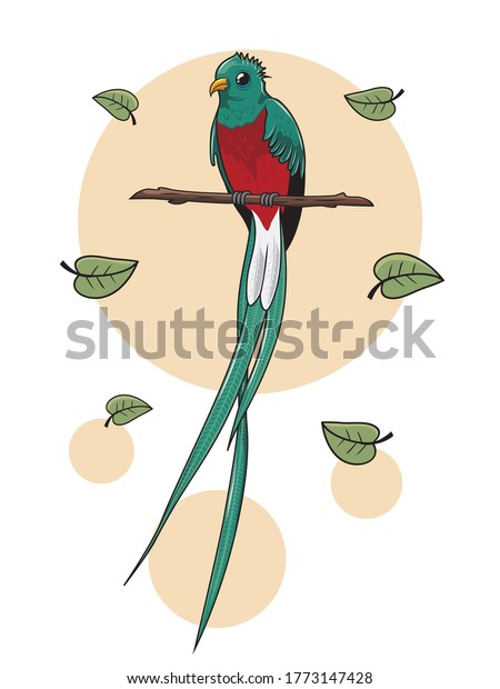 Quetzal Flying Images Stock Photos Vectors Shutterstock