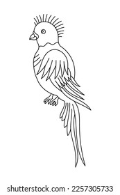 Quetzal bird. Editable outline stroke. Vector line illustration.